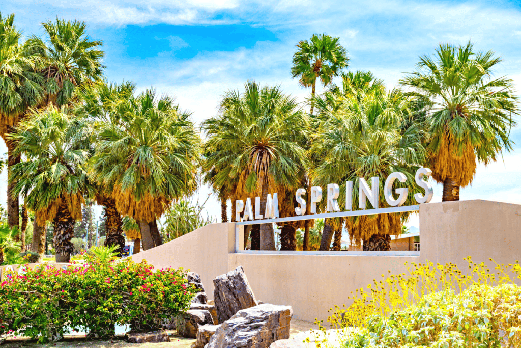 Palm Springs Is The Most Lgbtq Friendly City In The United States Great Vacations Charleston 2778